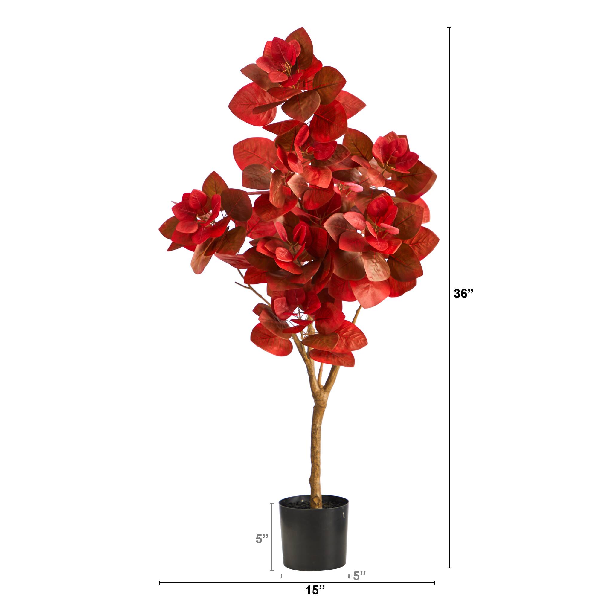 3ft. Potted Autumn Pomegranate Tree